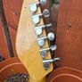 Vox Standard 25 Vintage Electric Guitar Image 4