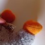 puppy start kit with heartbeat teddy Image 4
