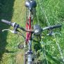 Ladys Bike Image 2