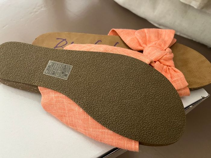 Blowfish  Slides