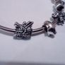 Pandora Style Charms Image 8