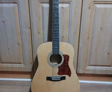 Delta Acoustic Guitar