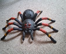 toy