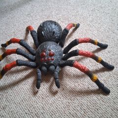 toy