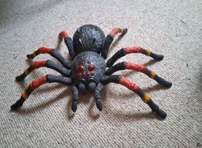 toy