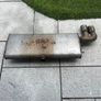 Mk4 Ford Focus Muffler Image 5