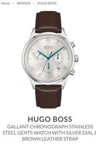 Hugo Boss Watch