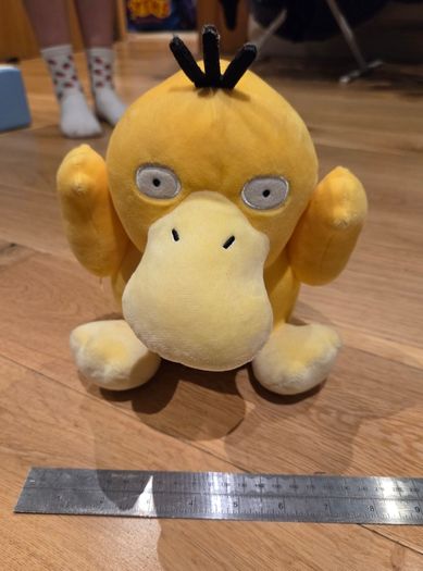 Pokemon teddys