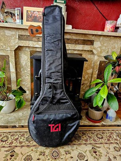 Tanglewood TWB USA 5 Cove Creek Banjo
