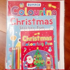 BNIP Christmas bumper activity kit