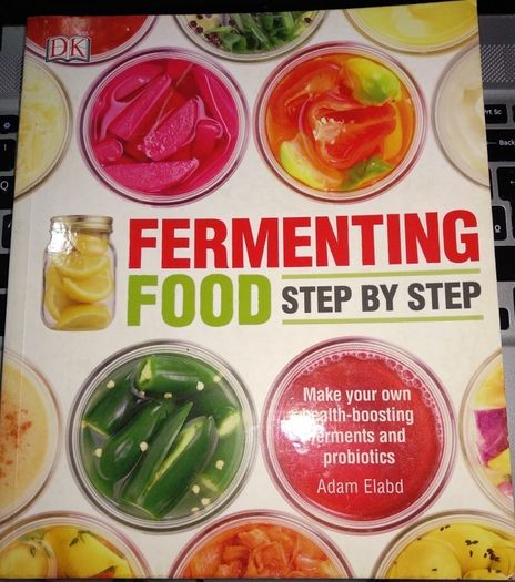 Fermenting Food Step By Step