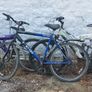 Bikes Image 4