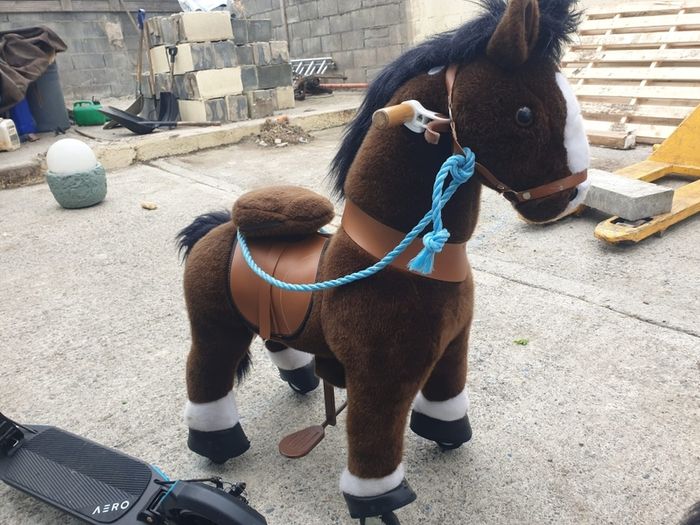 Pony Cycle Ride On Pony