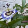 Panasonic Lumix GH2 Camera + Zoom Lens Image 10