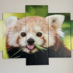 Red Panda wall painting