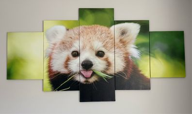 Red Panda wall painting