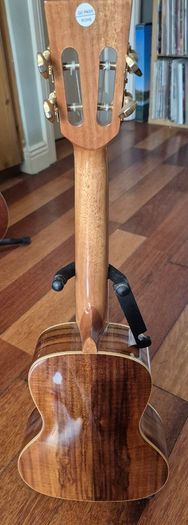 Freshman Ukulele