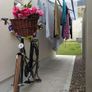 EcoDry Canopy Clothes Line Image 10