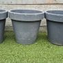 large flower pot Image 2