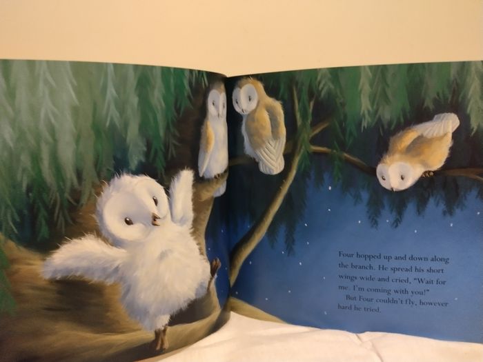 The Littlest Owl by Caroline Pitcher