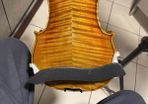 Professional Violin