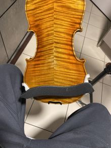 Professional Violin