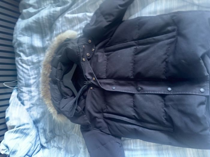 canada goose