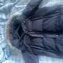 canada goose Image 6
