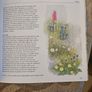 A Burren Journal.  By Sarah Poyntz. Illustrated By Gordon D'arcy & Anne Corff. Large Volume Paperback In Good Condition.  See Photos For Same. Image 6