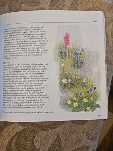 A Burren Journal.  By Sarah Poyntz. Illustrated By Gordon D'arcy & Anne Corff. Large Volume Paperback In Good Condition.  See Photos For Same.