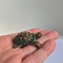 Brass Turtle Animal Statue Small Sculpture Tabletop Figurine Home Decor Gifts Image 4