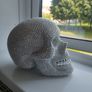 Skull head Image 3