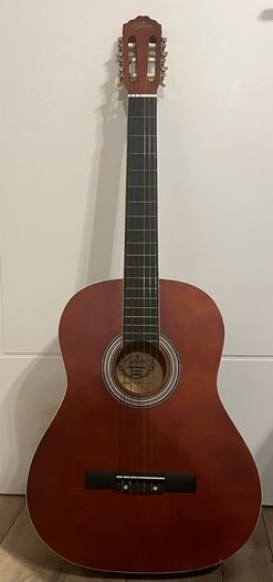 Guitar and bag