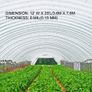 Greenhouse Polyethylene Film 0.1524 mm Thickness, Greenhouse Plastic Greenhouse Clear Plastic Film UV Resistant, Polyethylene Film Keep Warming, Superior Toughness Image 3