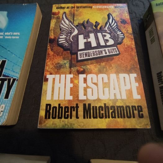 Robert Muchamore novels job lot