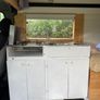 Vivaro campervan Image 2