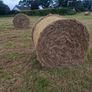100 round bales for ssle Image 2