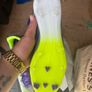 football boots Image 3