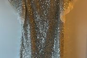Silver sequin Next dress with flutter sleeves age 4