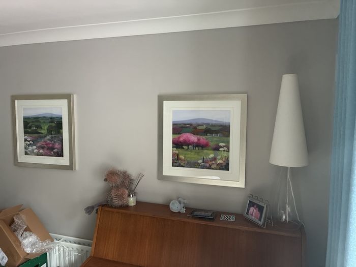 Framed prints (Debbie Neill)