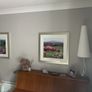 Framed prints (Debbie Neill) Image 3