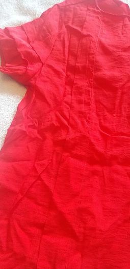Red Zara Top