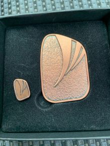 Gaisce President Award