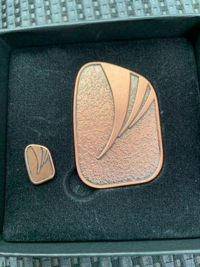 Gaisce President Award