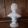 bust Image 2