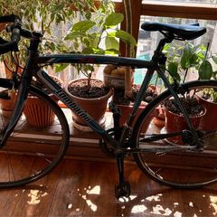 Used Lombardo Monza 3.0 road bike (2014) - needs work
