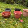 Selection of garden pots Image 8