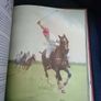 Album of Horses" by Marguerite Henry Image 3