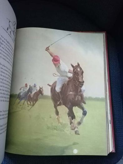 Album of Horses" by Marguerite Henry