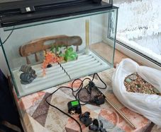 Fish Tank and Cabinet